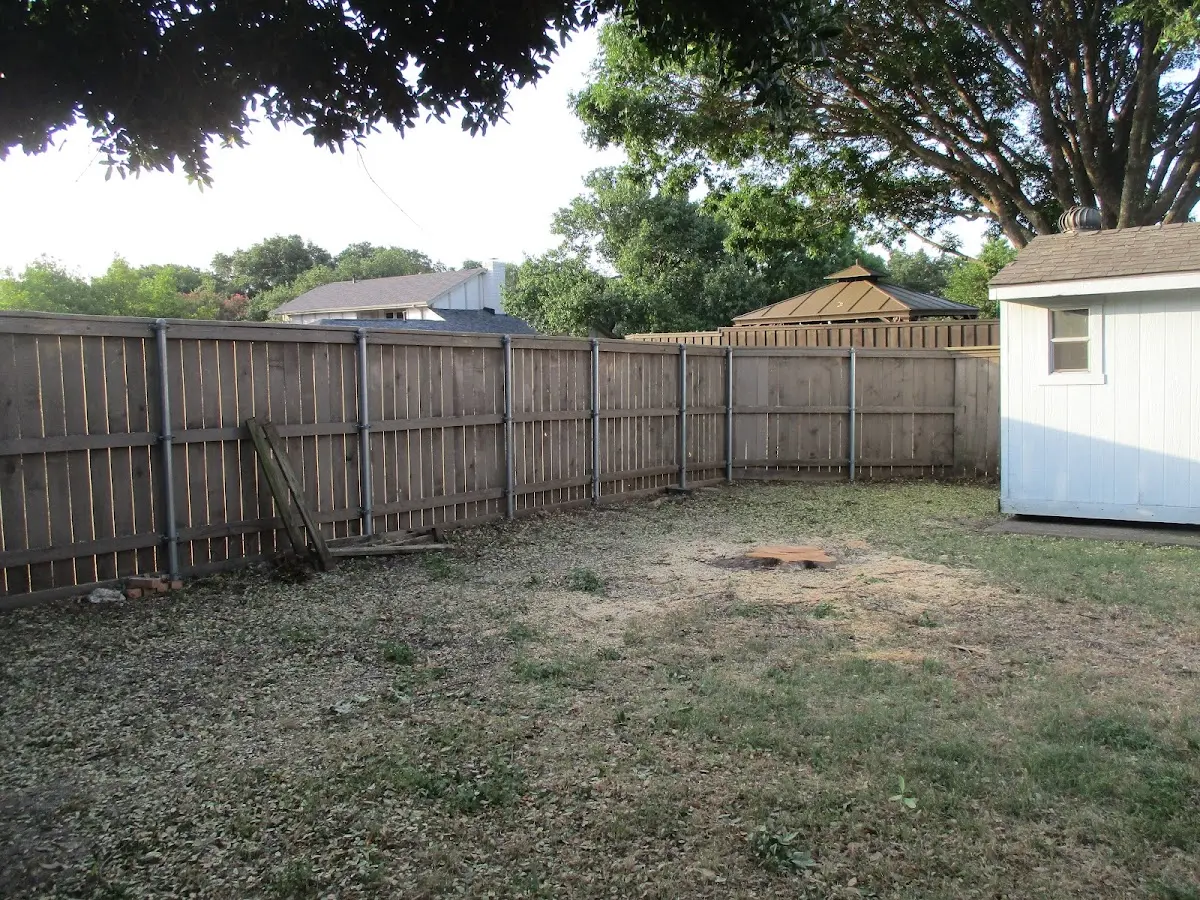 Cleared yard after professional tree removal in Maxwell